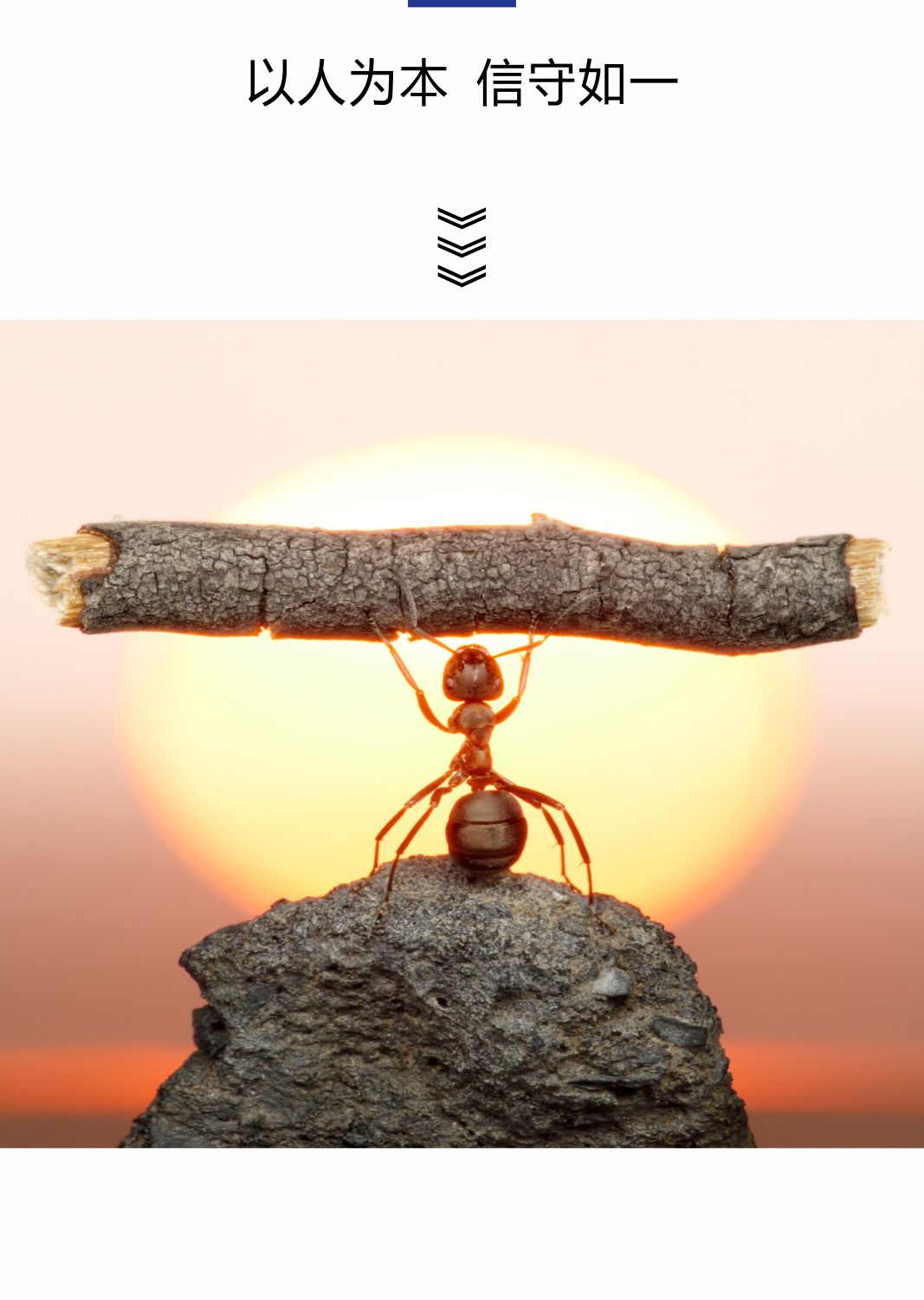 經(jīng)營理念-1