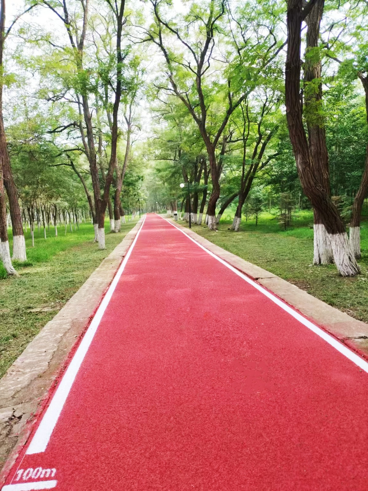 葫蘆島某部隊(duì)項(xiàng)目0808mp4 (3p)